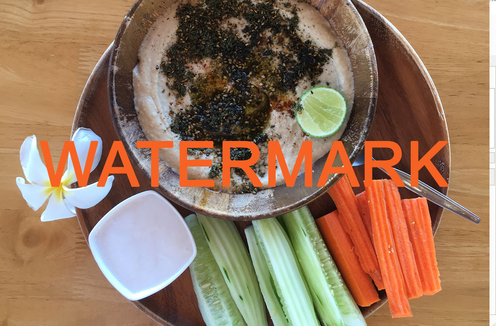 watermark software screenshot